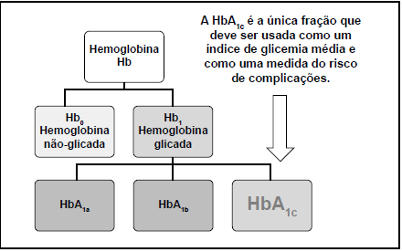 O diabetes mellitus e a hemoglobina glicada e sua correlação com a glicemia média estimada Hemoglobina Glicada propriamente dita, cujo terminal valina da cadeia beta esta ligado a glicose através de