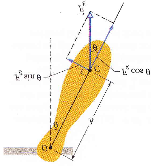 100 CAPÍTULO 3. OSCILAÇÕES Como estamos considerando um pêndulo simples, então a massa está toda localizada no corpo que está preso ao fio, que por sua vez, tem massa desprezível.