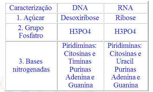 Constituição química dos ácidos nucléicos Agentes infecciosos sub-virais Príons: Agente infeccioso que não tem