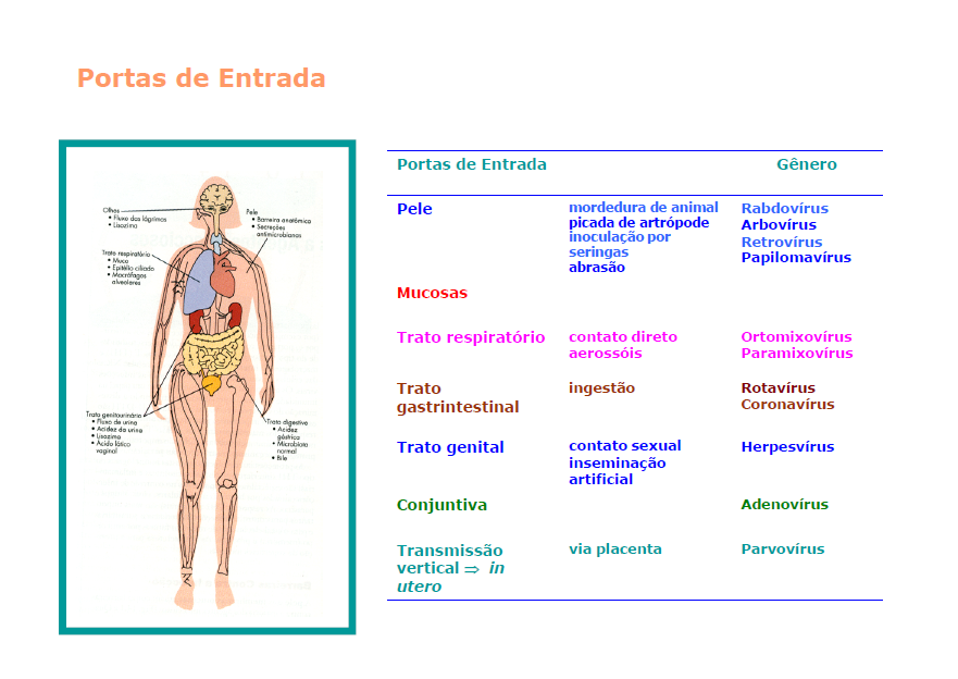 Patogenia das