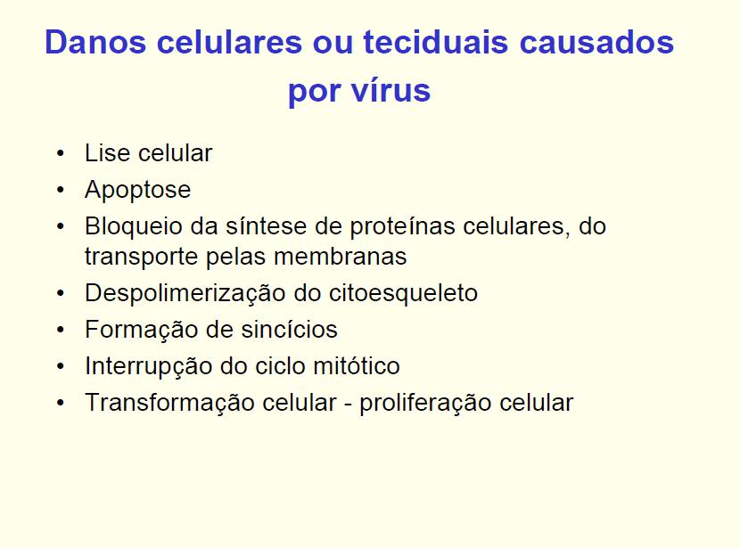 Interações dos vírus com as células