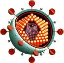 Resposta Imunológica do Hospedeiro Destruição do agente viral Sistema Complemento OPSONIZAÇÃO do vírus para o