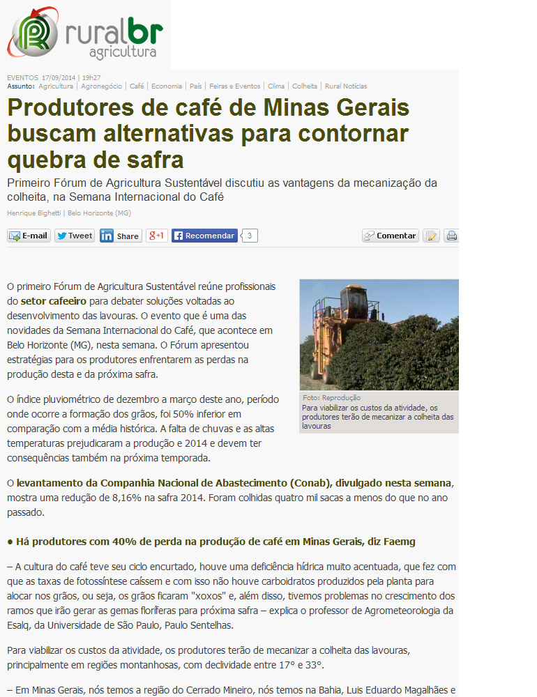 Produtores de café de Minas Gerais buscam alternativas para contornar.