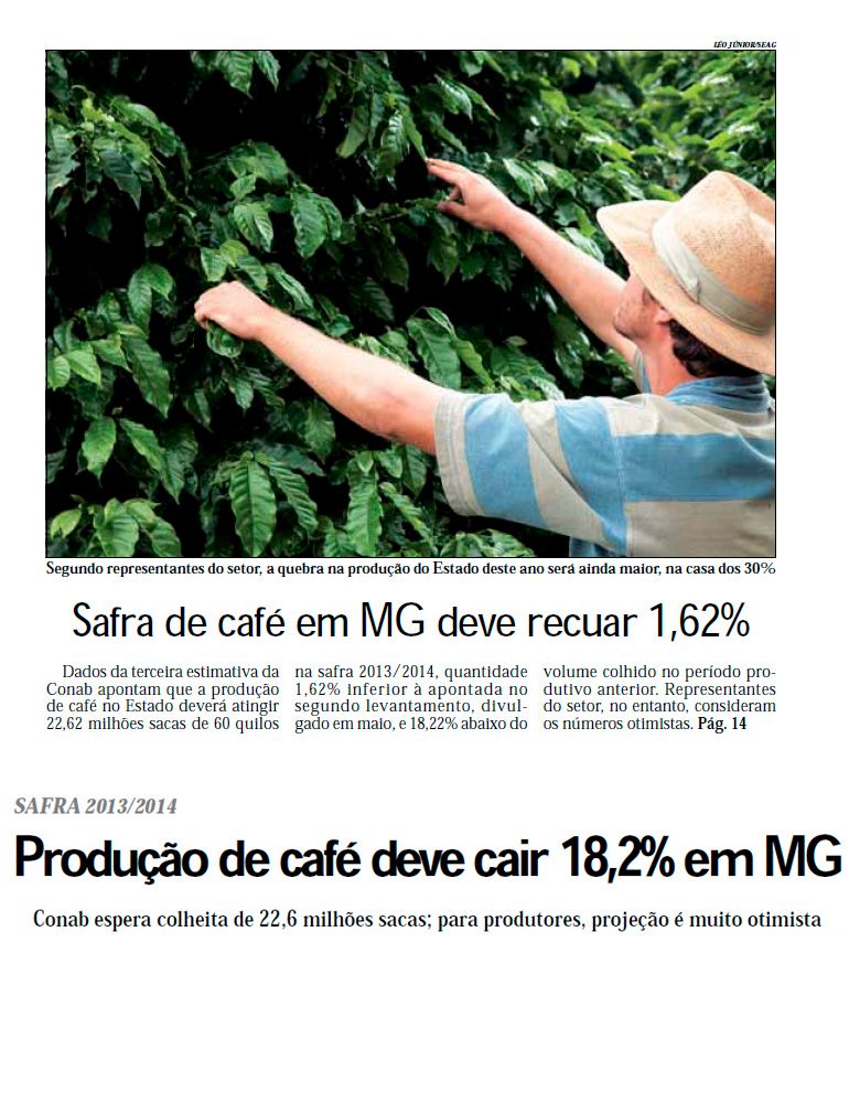 Safra de café em MG deve recuar 1,62% Diário do Comércio - - Belo