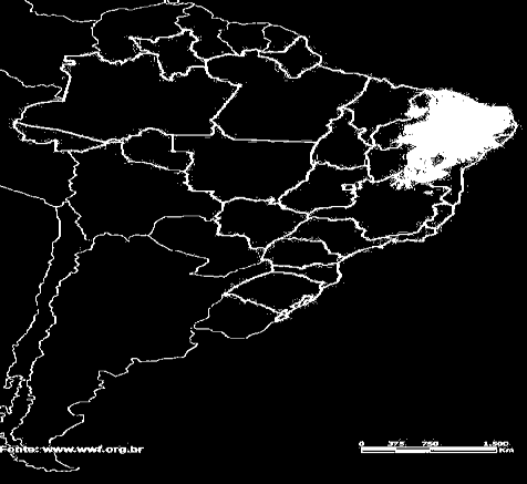 BIOMA CAATINGA A área principal do Semi-Árido compreende todos os