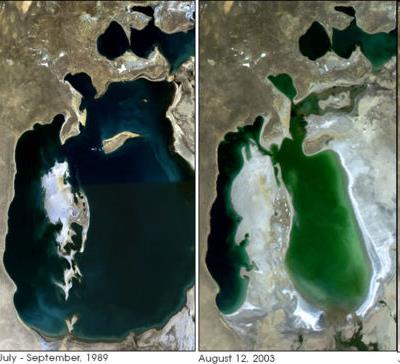 MAR ARAL O Mar de Aral que já foi considerado o quarto maior lago do mundo, está desaparecendo, a agricultura irrigada sem os devidos estudos ambientais
