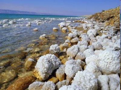 MAR MORTO O Mar Morto tem esse nome devido a grande quantidade de sal por ele apresentada, dez vezes superior à dos demais oceanos, o que torna impossível qualquer forma de vida - flora ou fauna - em