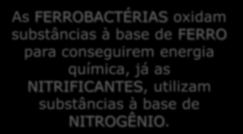 Exemplos: ferrobactérias e nitrobactérias ou nitrificantes.