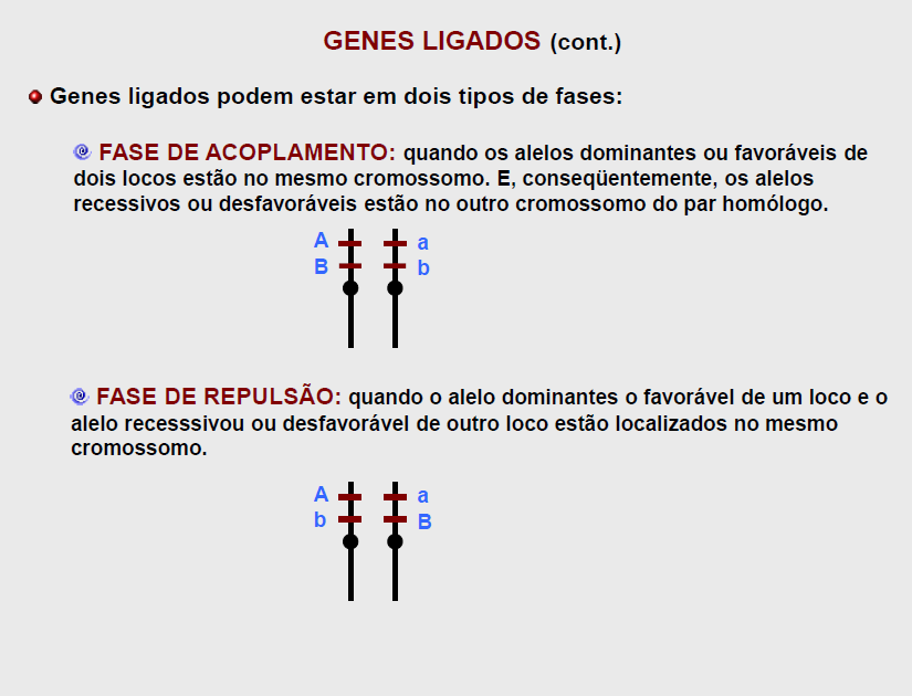 6. Genes Ligados Slide