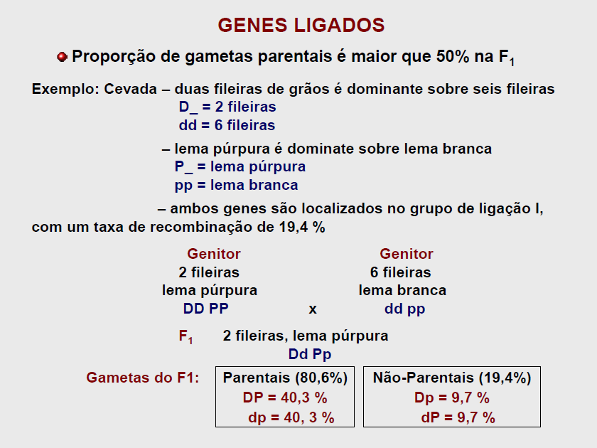 6. Genes Ligados (Esperado: 100% 2 fileiras e