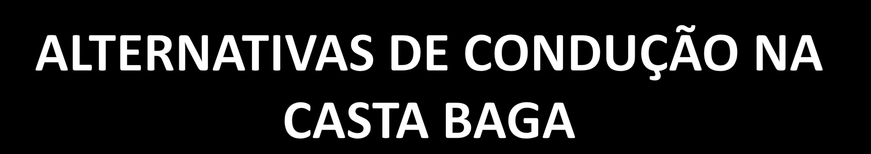 de Baga, bem como sobre parâmetros do rendimento