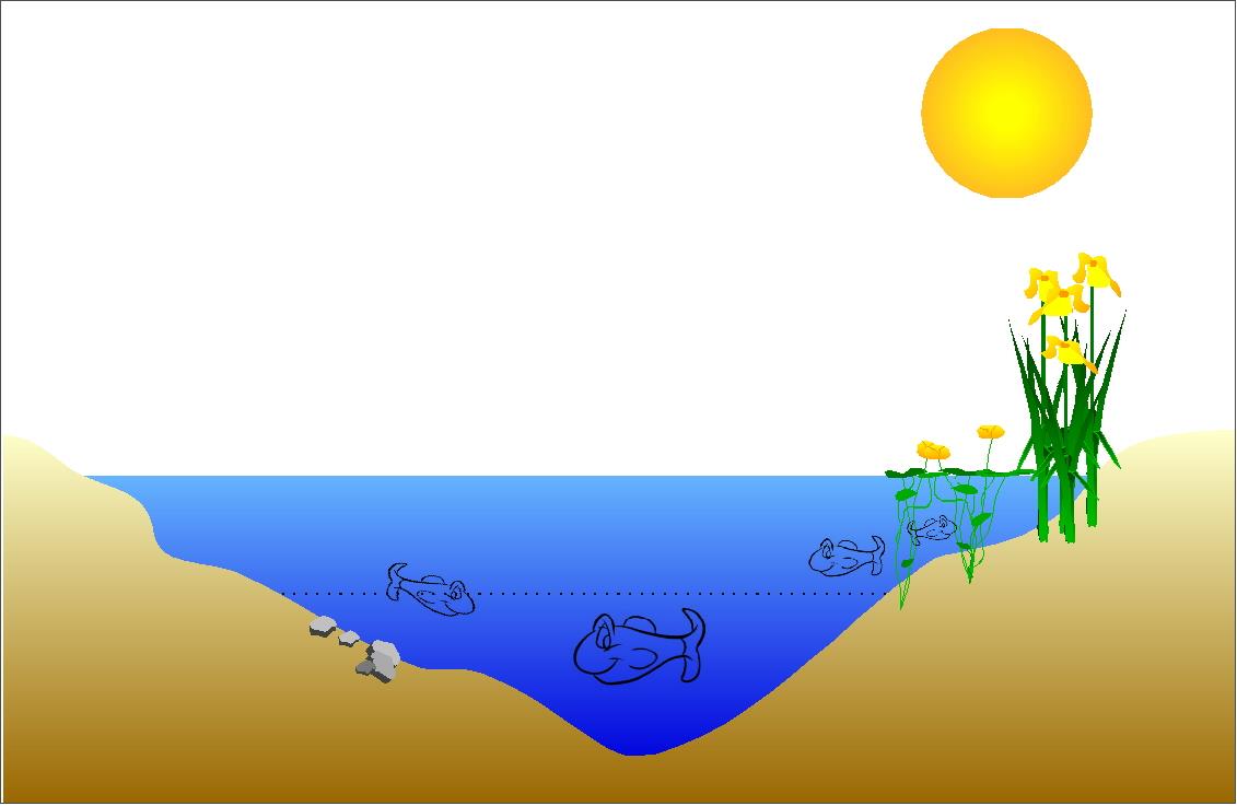 Mesotrófico epilimnion