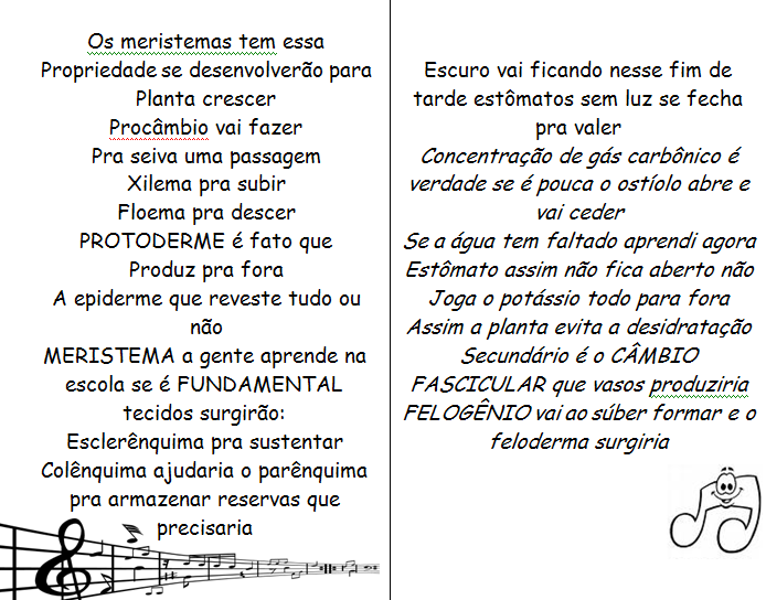 CANÇÃO DOS MERISTEMAS Exercícios (UFRS-1996) Associe as denominações listadas na coluna A às alternativas da coluna B que melhor as explicam.