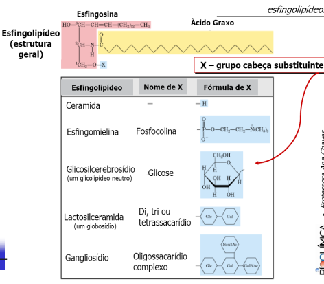 Existem três tipos gerais: Glicerofosfolipídios, esfingolipídios e esteróis. 3.