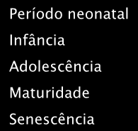 Programa de Educação Corporativa CURSO SAÚDE VOCAL Material de Apoio Roteiro- aula 2 Teoria 1. Desenvolvimento da voz: evolução da voz do neonato ao senescente 2.