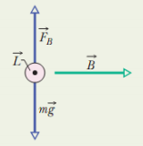 Força Magnética em um Fio com Corrente Exemplo 8-6) pg. 18. Um fio horizontal retilíneo, feito de cobre, é percorrido por uma corrente i = 8 A.