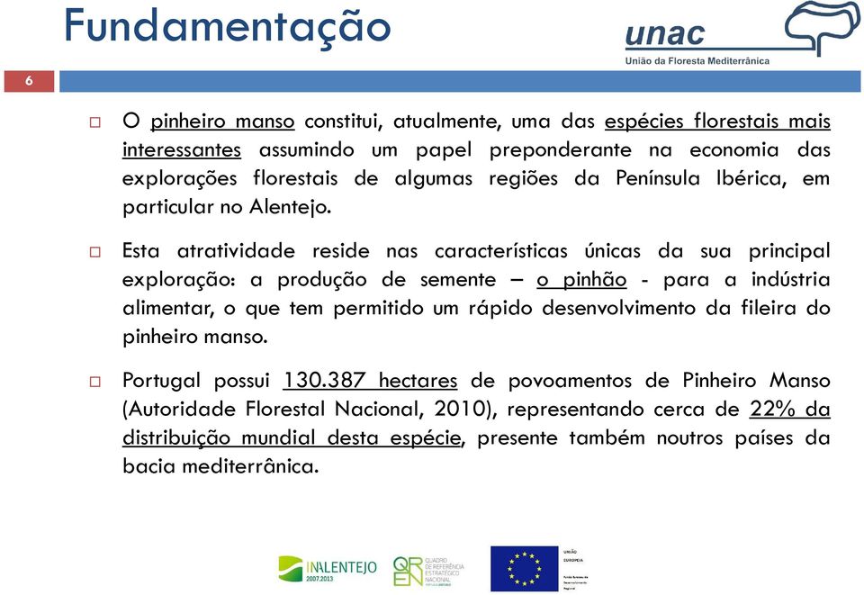 Esta atratividade reside nas características únicas da sua principal exploração: a produção de semente o pinhão - para a indústria alimentar, o que tem permitido um rápido