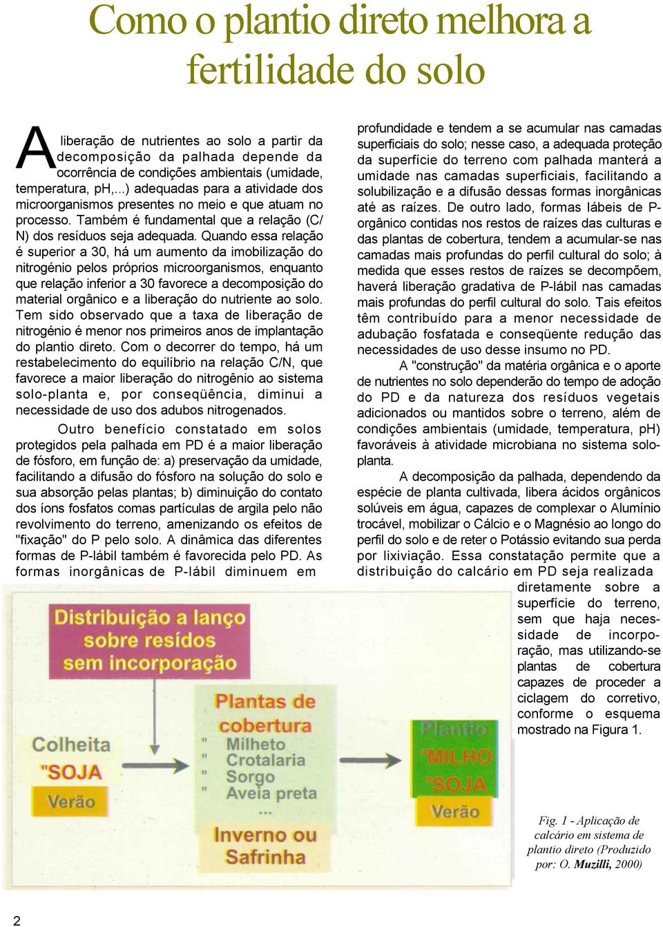 Quando essa relação é superior a 30, há um aumento da imobilização do nitrogénio pelos próprios microorganismos, enquanto que relação inferior a 30 favorece a decomposição do material orgânico e a