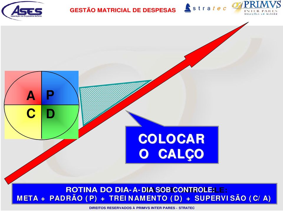 CONTROLE: META + PADRÃO ( P)