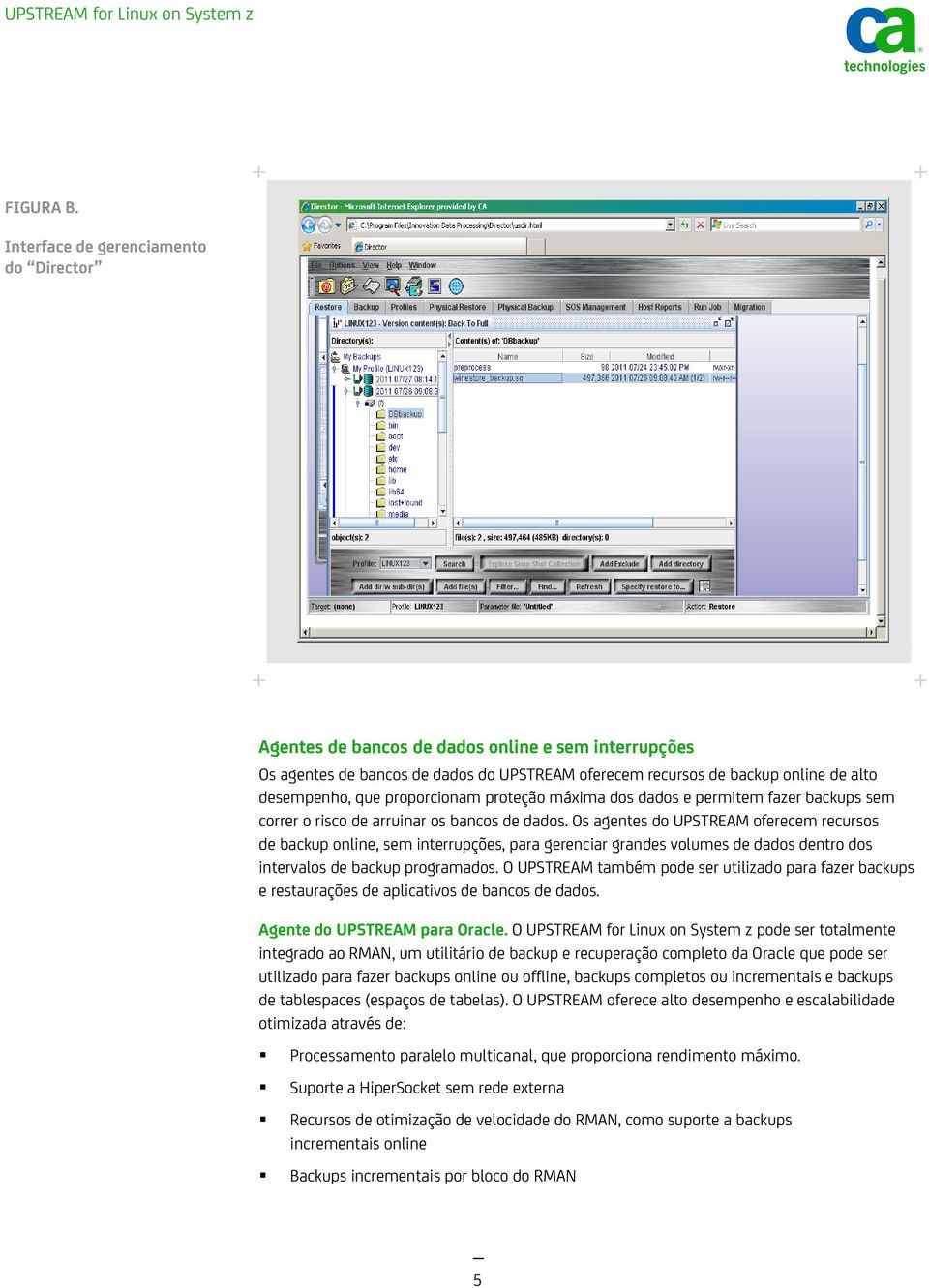 que proporcionam proteção máxima dos dados e permitem fazer backups sem correr o risco de arruinar os bancos de dados.