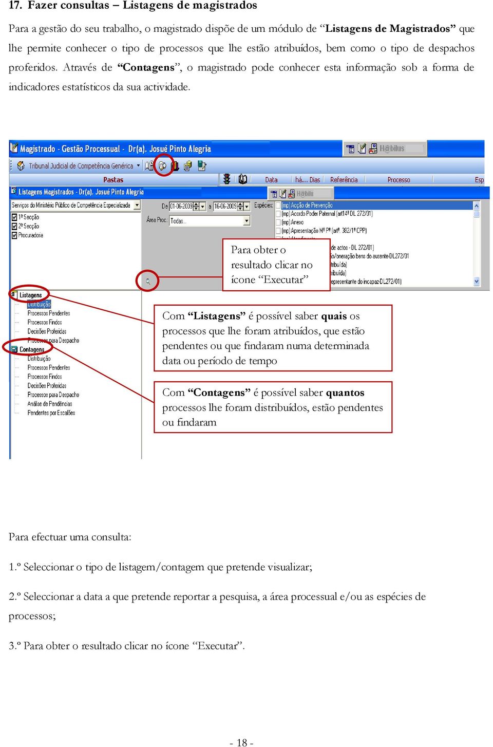 Para obter o resultado clicar no ícone Executar Com Listagens é possível saber quais os processos que lhe foram atribuídos, que estão pendentes ou que findaram numa determinada data ou período de