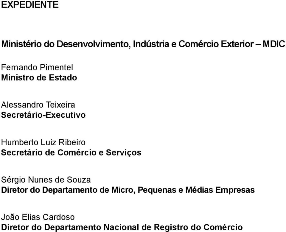 Secretário de Comércio e Serviços Sérgio Nunes de Souza Diretor do Departamento de Micro,