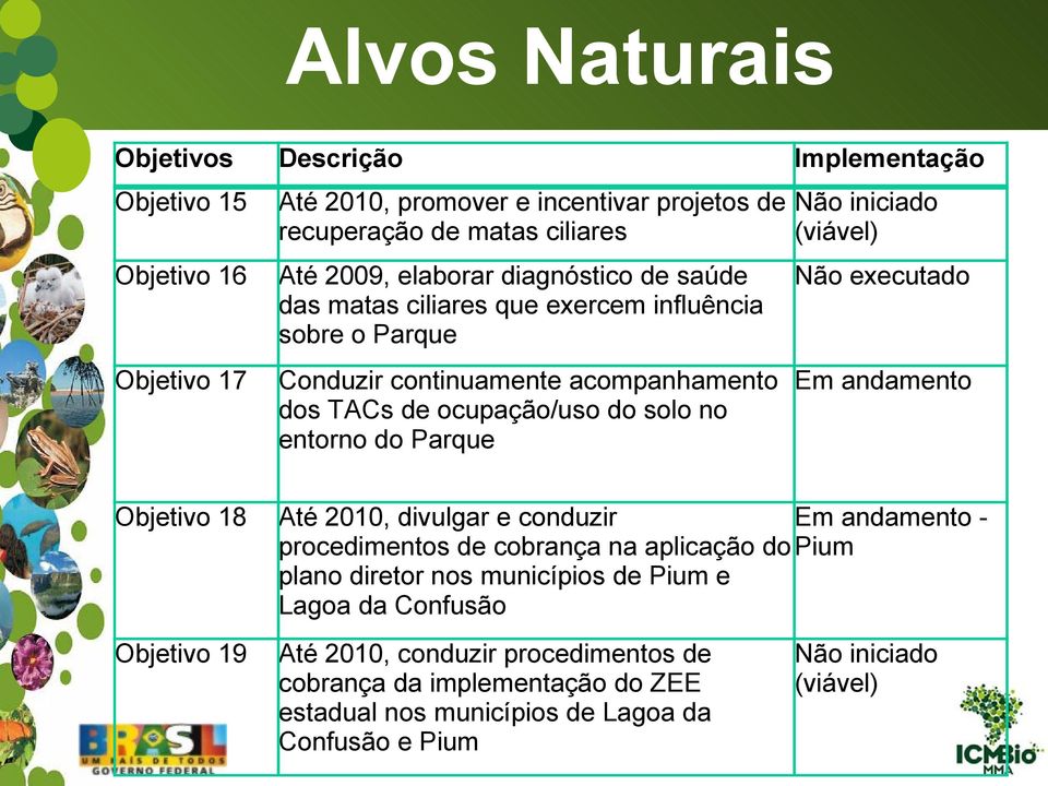 iniciado (viável) Não executado Em andamento Objetivo 18 Objetivo 19 Até 2010, divulgar e conduzir Em andamento - procedimentos de cobrança na aplicação do Pium plano diretor