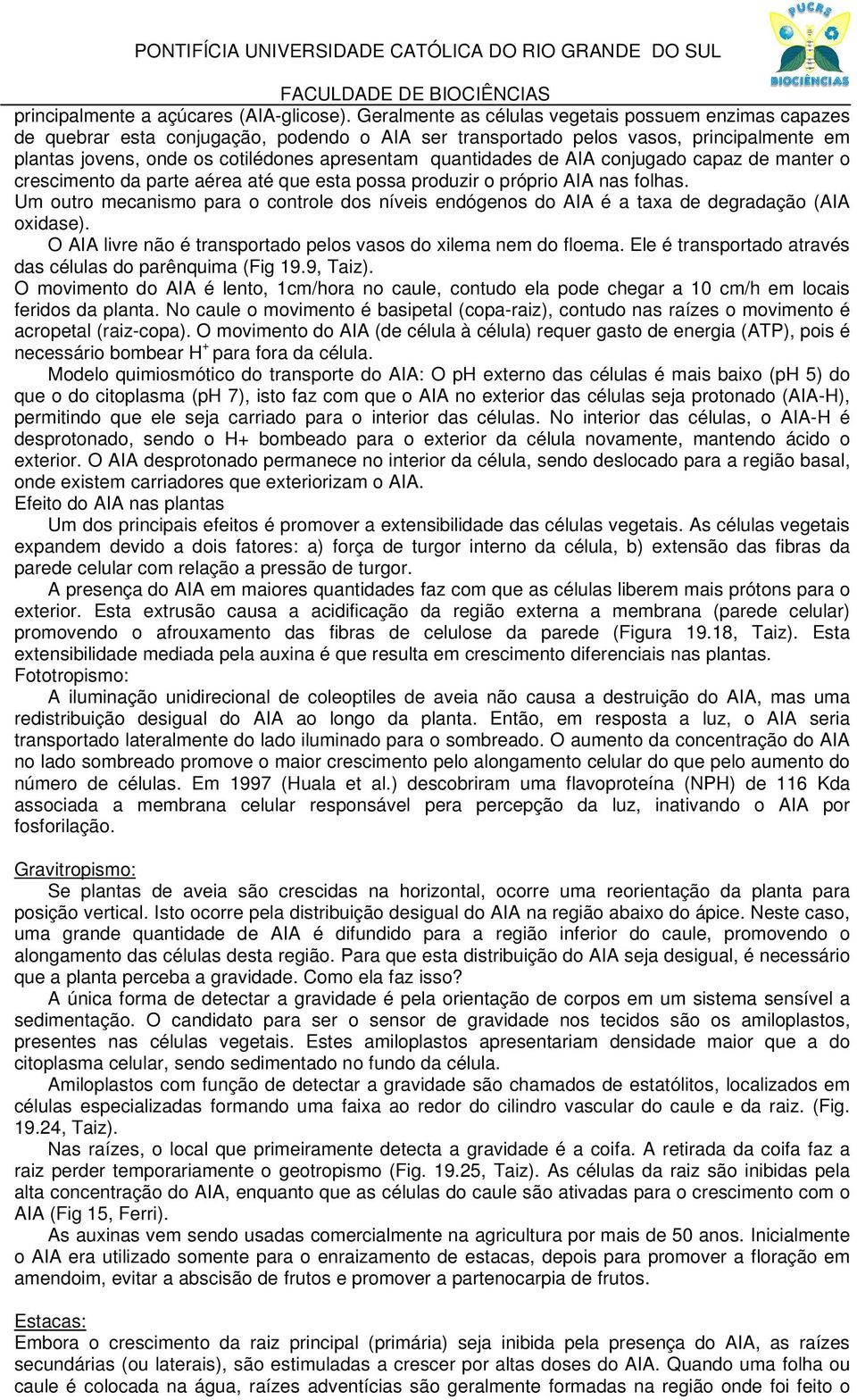 quantidades de AIA conjugado capaz de manter o crescimento da parte aérea até que esta possa produzir o próprio AIA nas folhas.