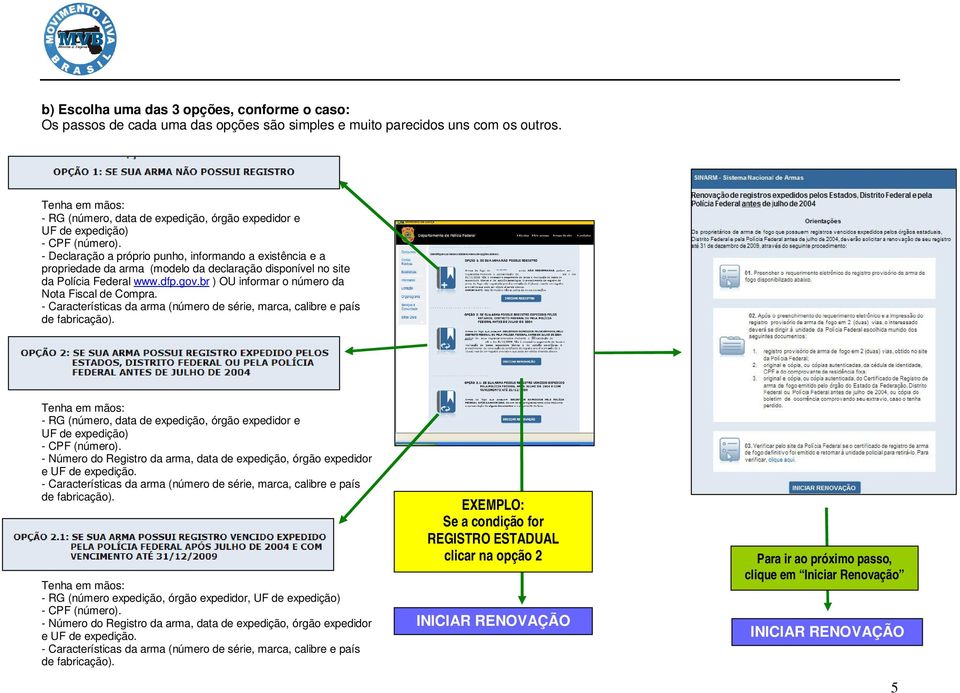 - Declaração a próprio punho, informando a existência e a propriedade da arma (modelo da declaração disponível no site da Polícia Federal www.dfp.gov.