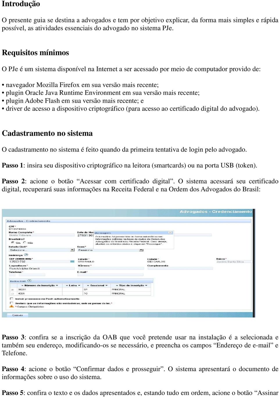 Environment em sua versão mais recente; plugin Adobe Flash em sua versão mais recente; e driver de acesso a dispositivo criptográfico (para acesso ao certificado digital do advogado).