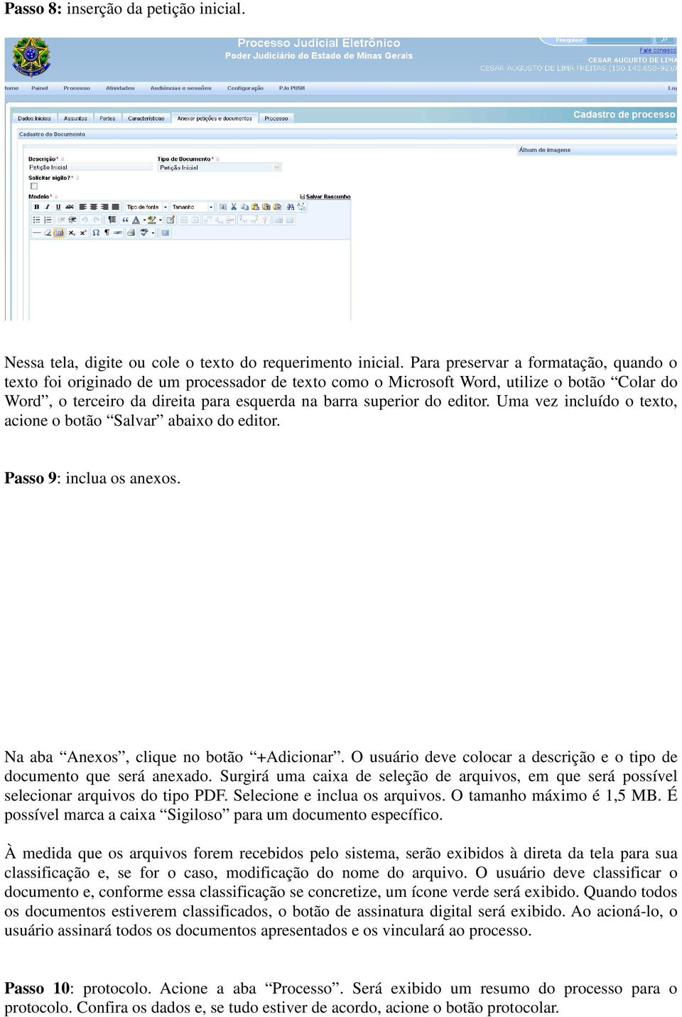 editor. Uma vez incluído o texto, acione o botão Salvar abaixo do editor. Passo 9: inclua os anexos. Na aba Anexos, clique no botão +Adicionar.