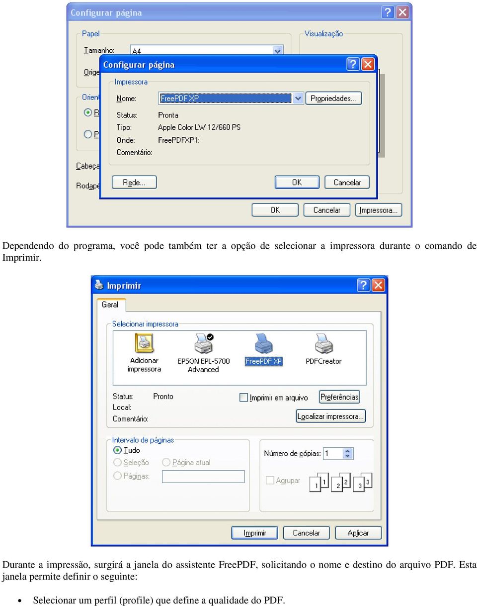 Durante a impressã, surgirá a janela d assistente FreePDF, slicitand nme