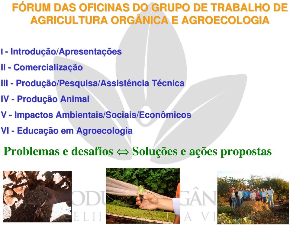 Produção/Pesquisa/Assistência Técnica IV - Produção Animal V - Impactos