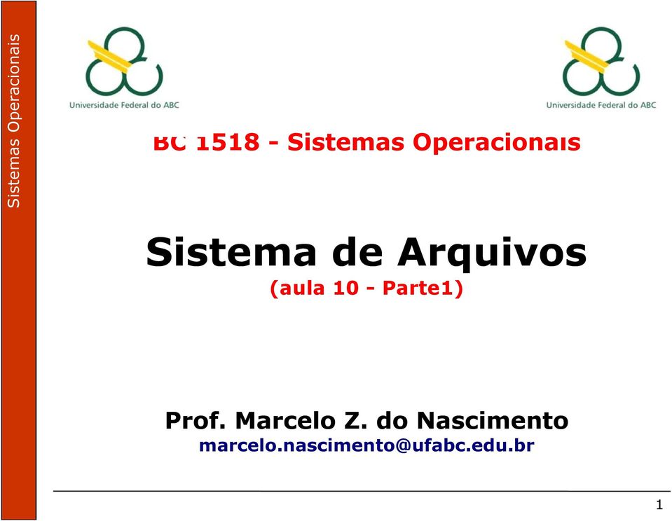 Marcelo Z. do Nascimento Prof. Marcelo Z.