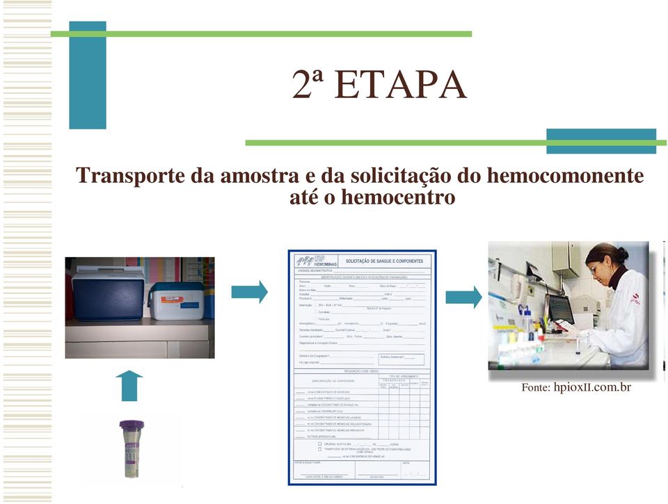 do hemocomonente até o