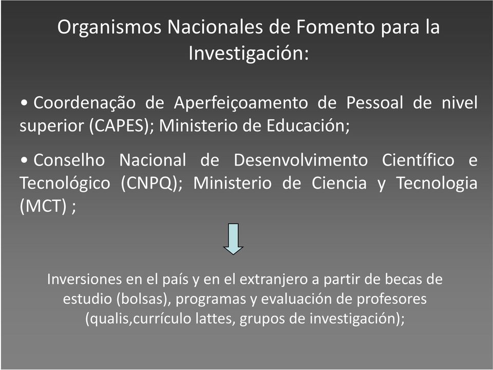 Tecnológico (CNPQ); Ministerio de Ciencia y Tecnologia (MCT) ; Inversiones en el país y en el extranjero a
