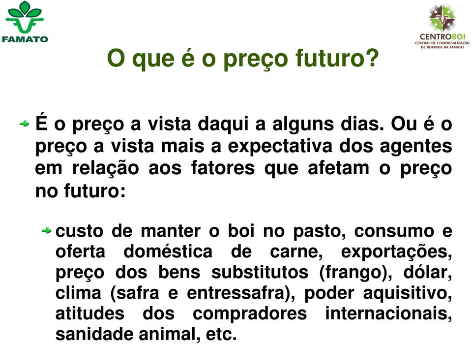 futuro: custo de manter o boi no pasto, consumo e oferta doméstica de carne, exportações, preço dos