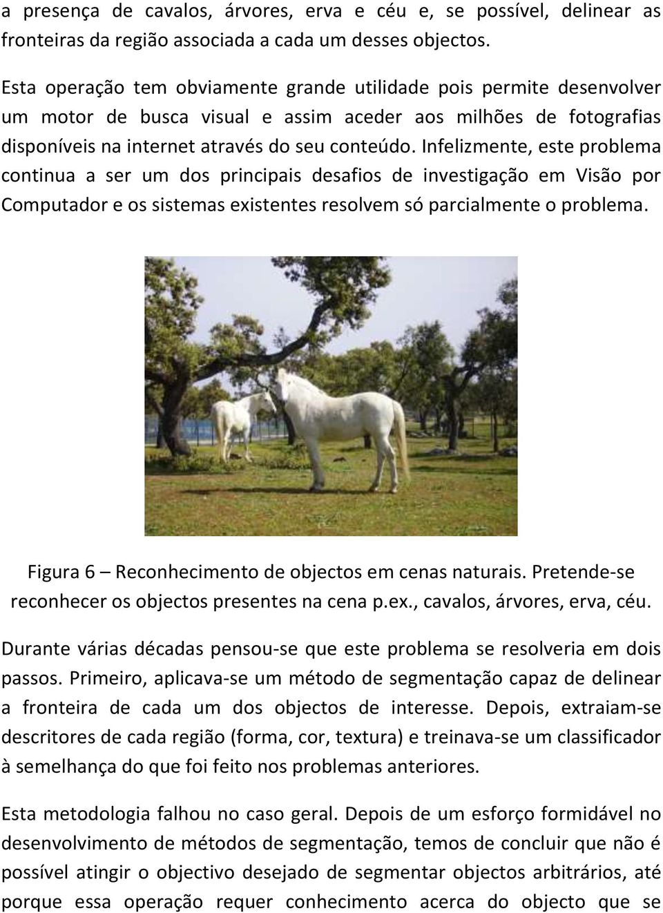 Infelizmente, este problema continua a ser um dos principais desafios de investigação em Visão por Computador e os sistemas existentes resolvem só parcialmente o problema.