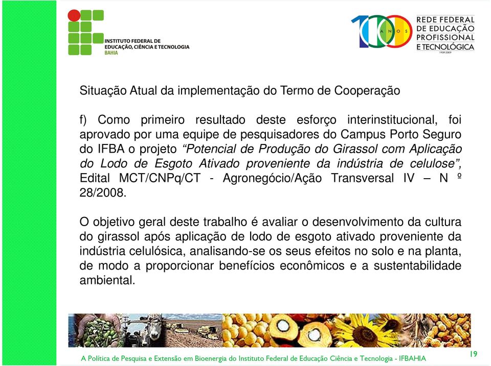 MCT/CNPq/CT - Agronegócio/Ação Transversal IV N º 28/2008.