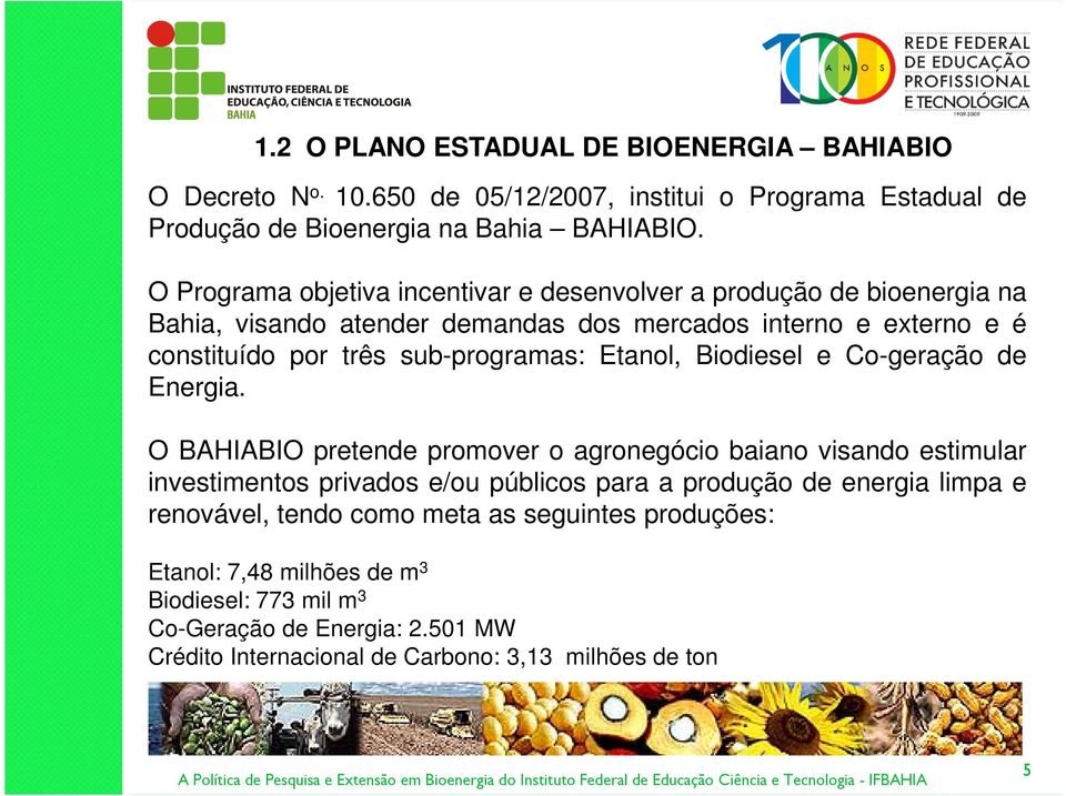 Etanol, Biodiesel e Co-geração de Energia.