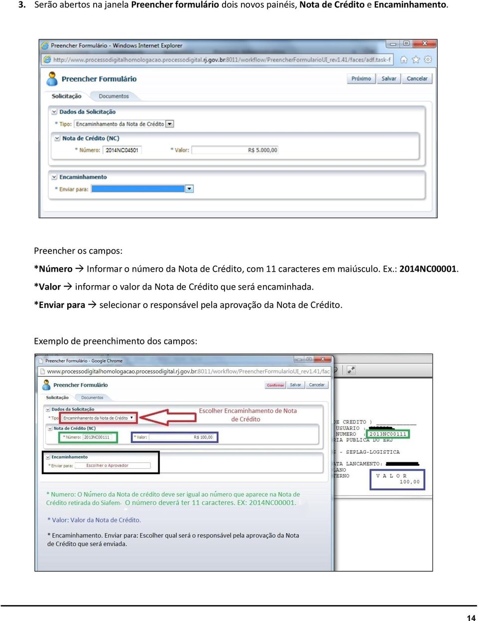 Preencher os campos: *Número Informar o número da Nota de Crédito, com 11 caracteres em maiúsculo.