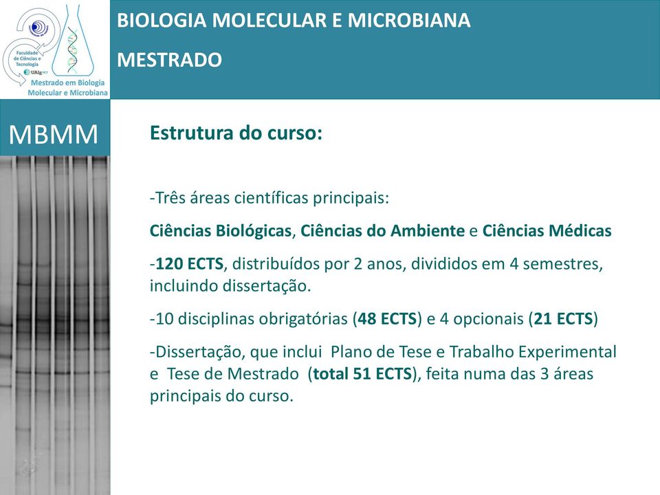 -10 disciplinas obrigatórias (48 ECTS) e 4 opcionais (21 ECTS) -Dissertação, que inclui Plano de Tese