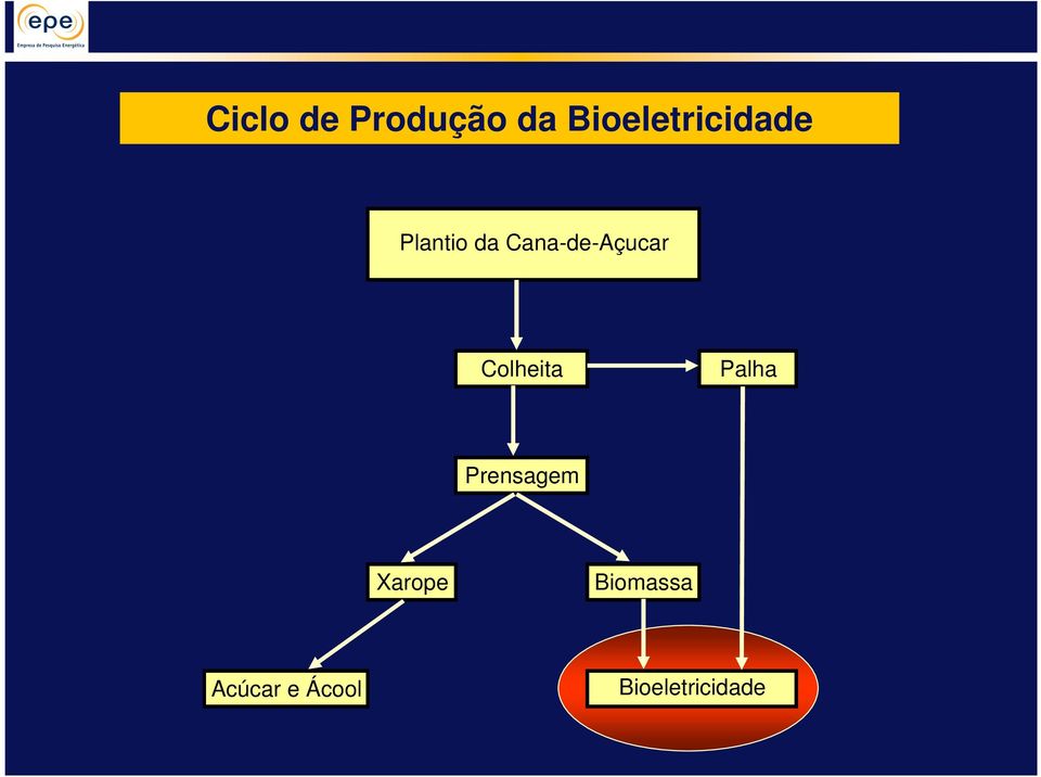 Plantio da Cana-de-Açucar Colheita Palha