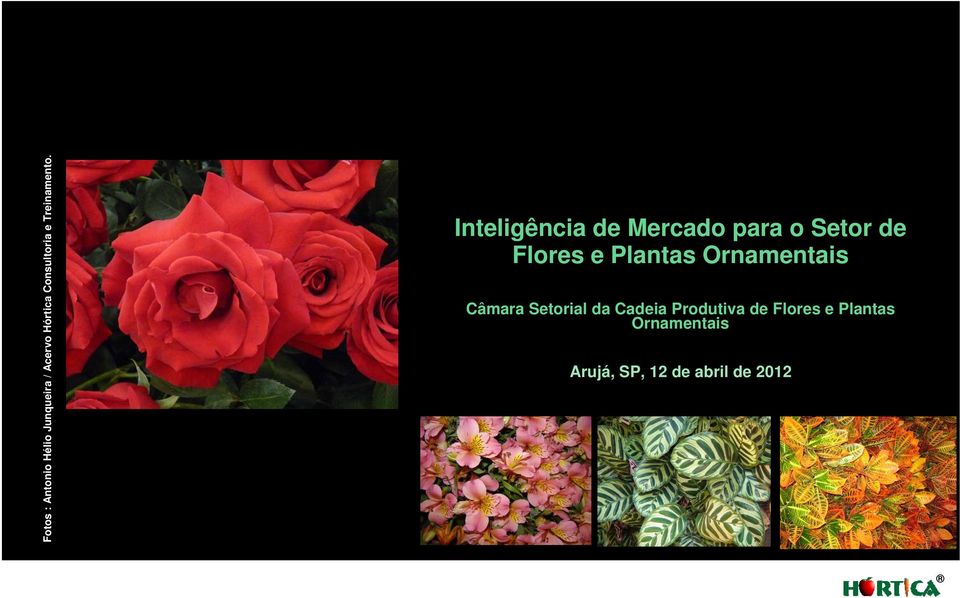 m j m m Inteligência de Mercado para o Setor de Flores e