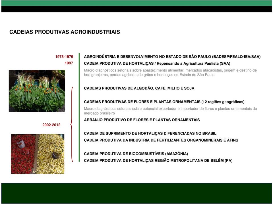 PRODUTIVAS DE ALGODÃO, CAFÉ, MILHO E SOJA 2002-2012 CADEIAS PRODUTIVAS DE FLORES E PLANTAS ORNAMENTAIS (12 regiões geográficas) Macro diagnósticos setoriais sobre potencial exportador e importador de