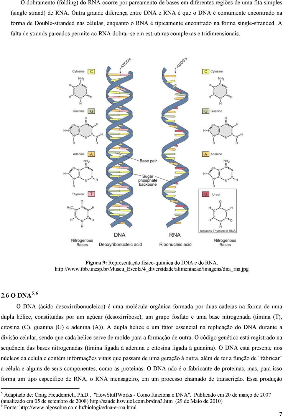 A falta de strands pareados permite ao RNA dobrar-se em estruturas complexas e tridimensionais. Figura 9: Representação físico-química do DNA e do RNA. http://www.ibb.unesp.