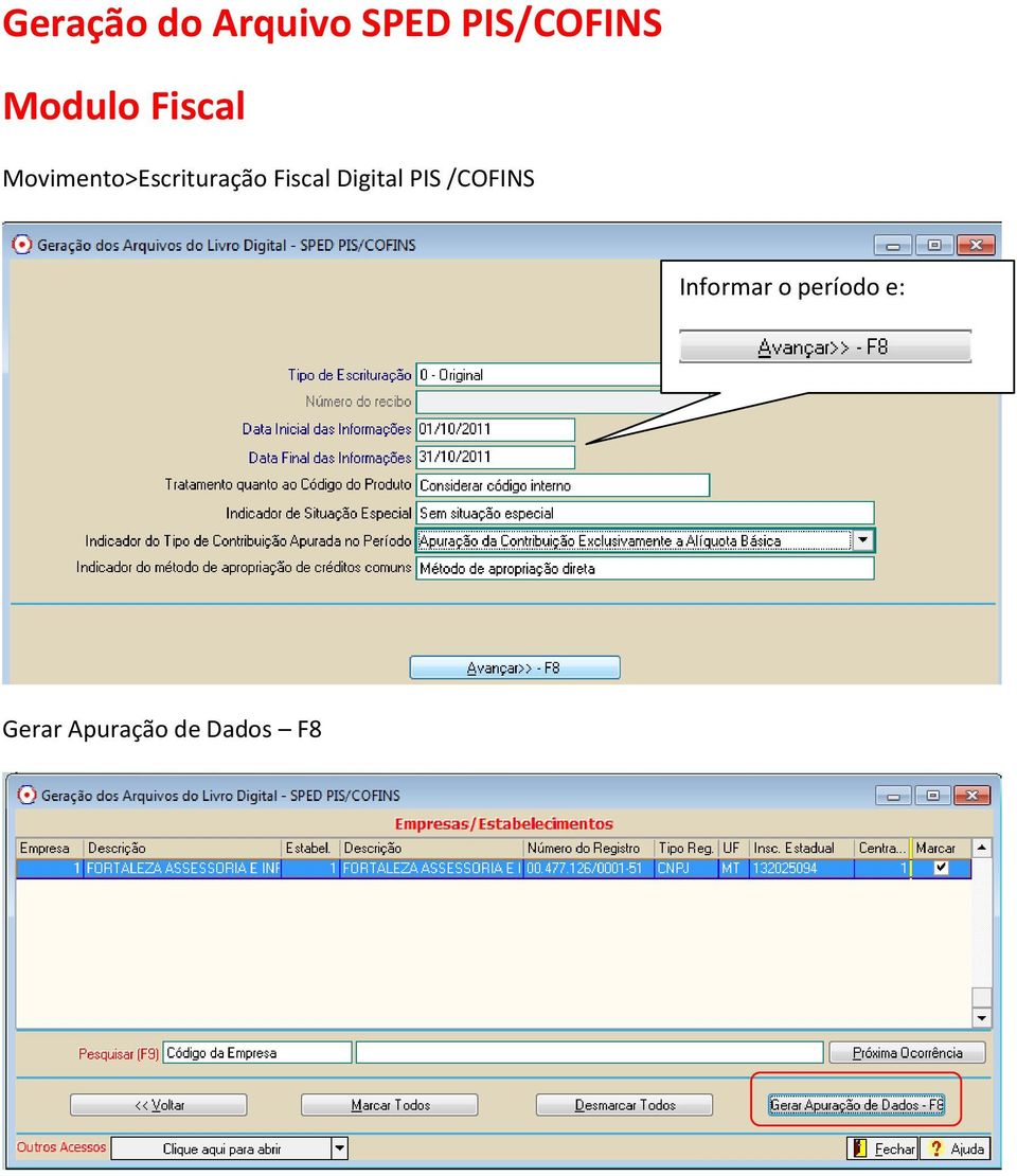 Fiscal Digital PIS /COFINS Informar