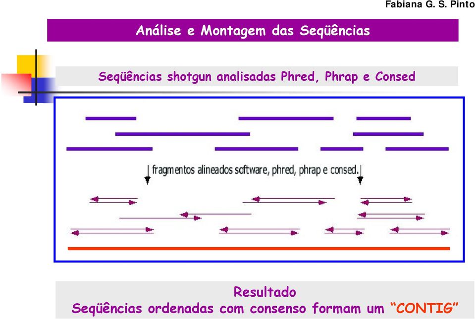 Phrap e Consed Resultado Seqüências