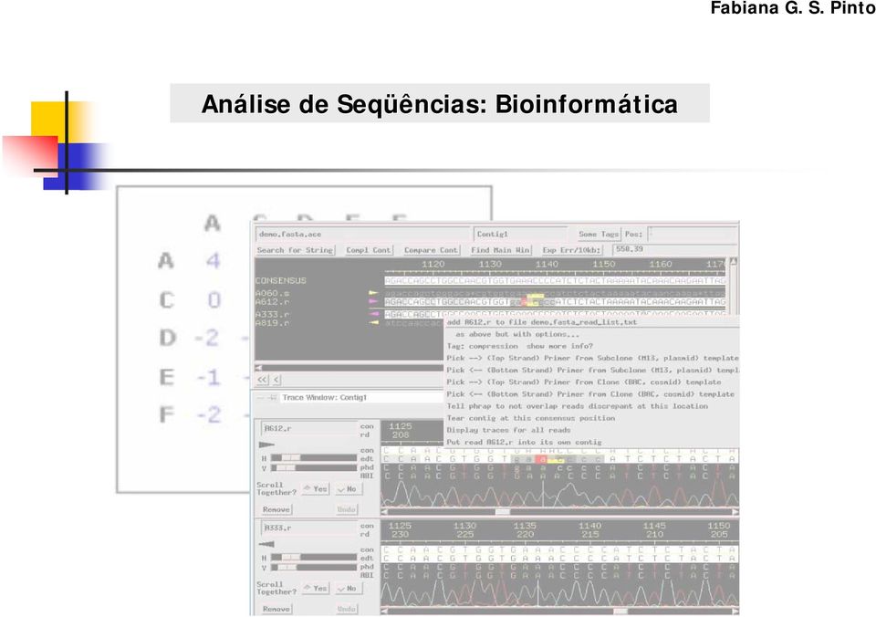 Bioinformática