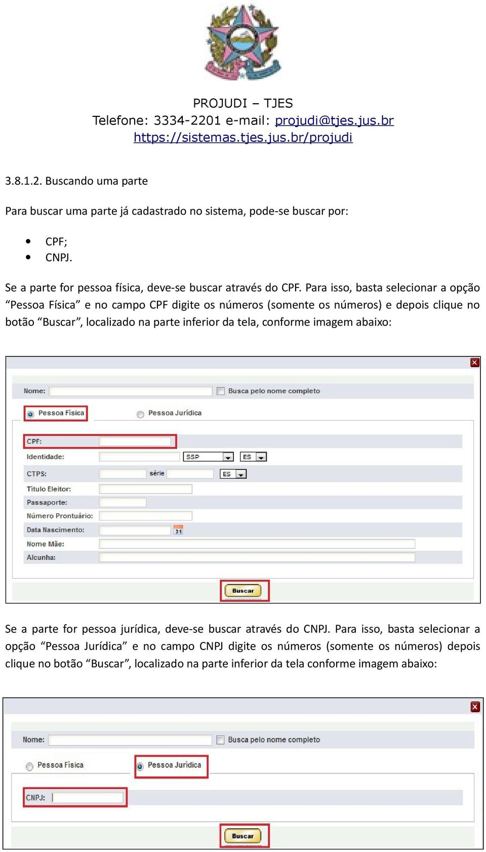 Para isso, basta selecionar a opção Pessoa Física e no campo CPF digite os números (somente os números) e depois clique no botão Buscar, localizado na parte